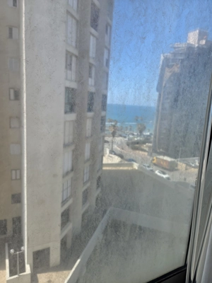 שם התמונה