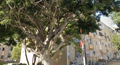 שם התמונה