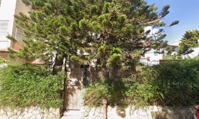 שם התמונה