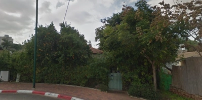 שם התמונה