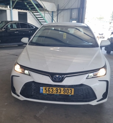 שם התמונה