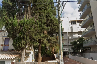שם התמונה